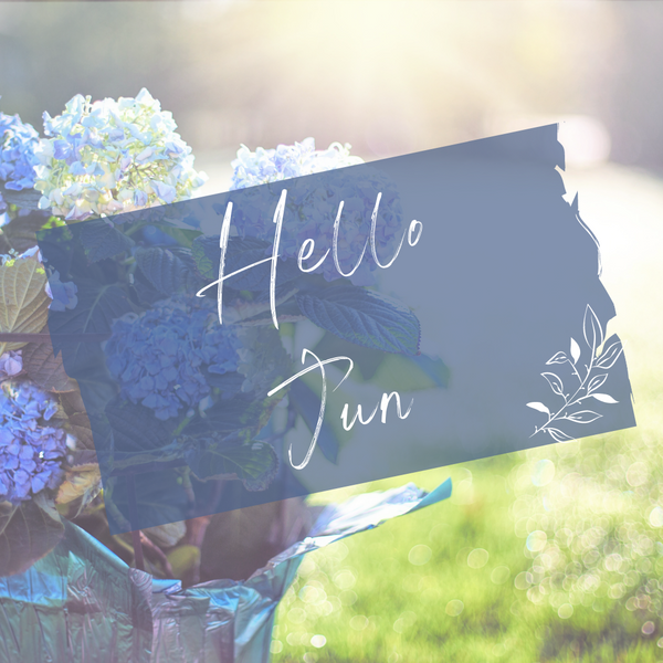 エクラエール裏教室１周年！